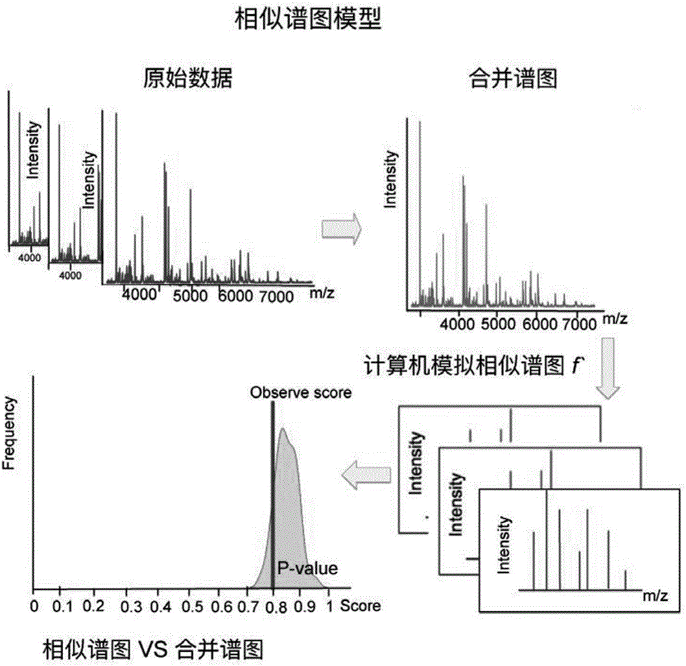 Computer simulation statistics verification method of database search results based on spectrum similarity calculation