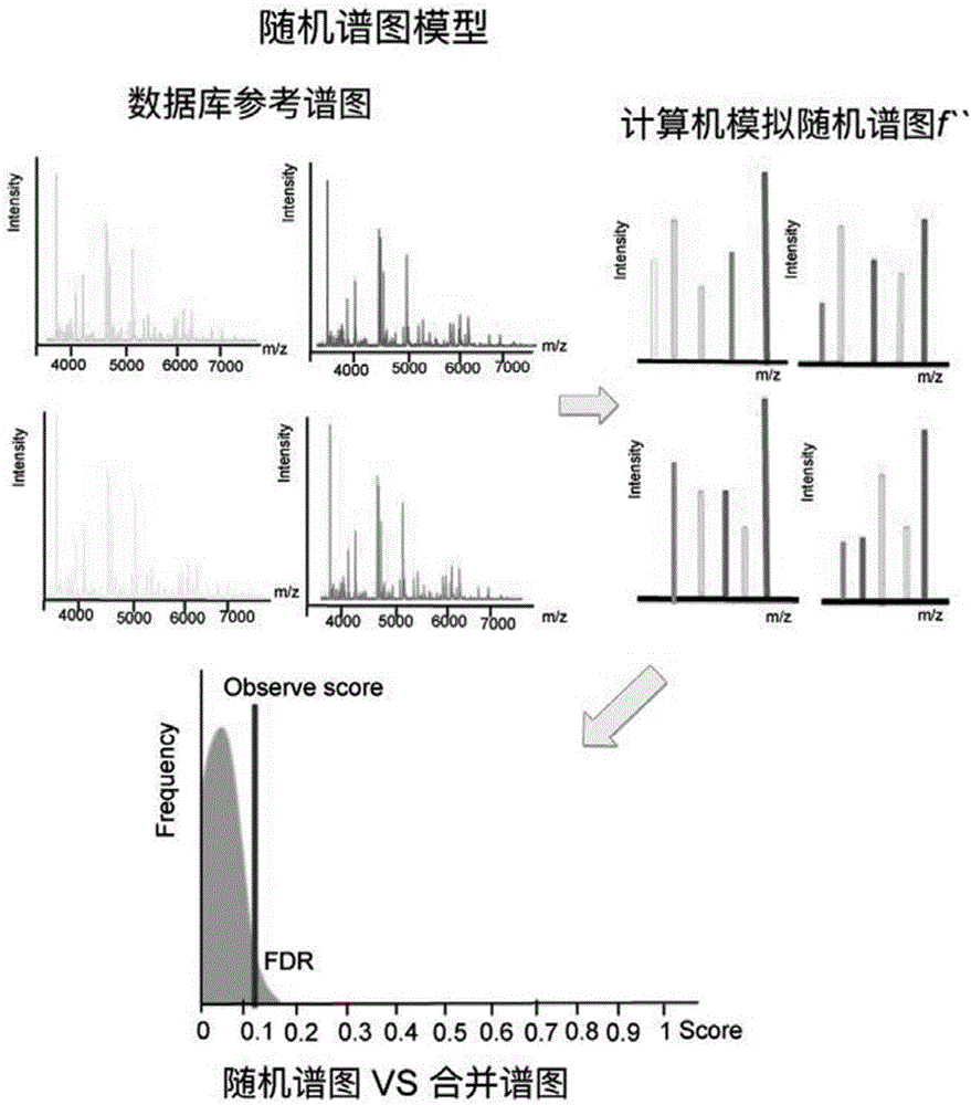 Computer simulation statistics verification method of database search results based on spectrum similarity calculation