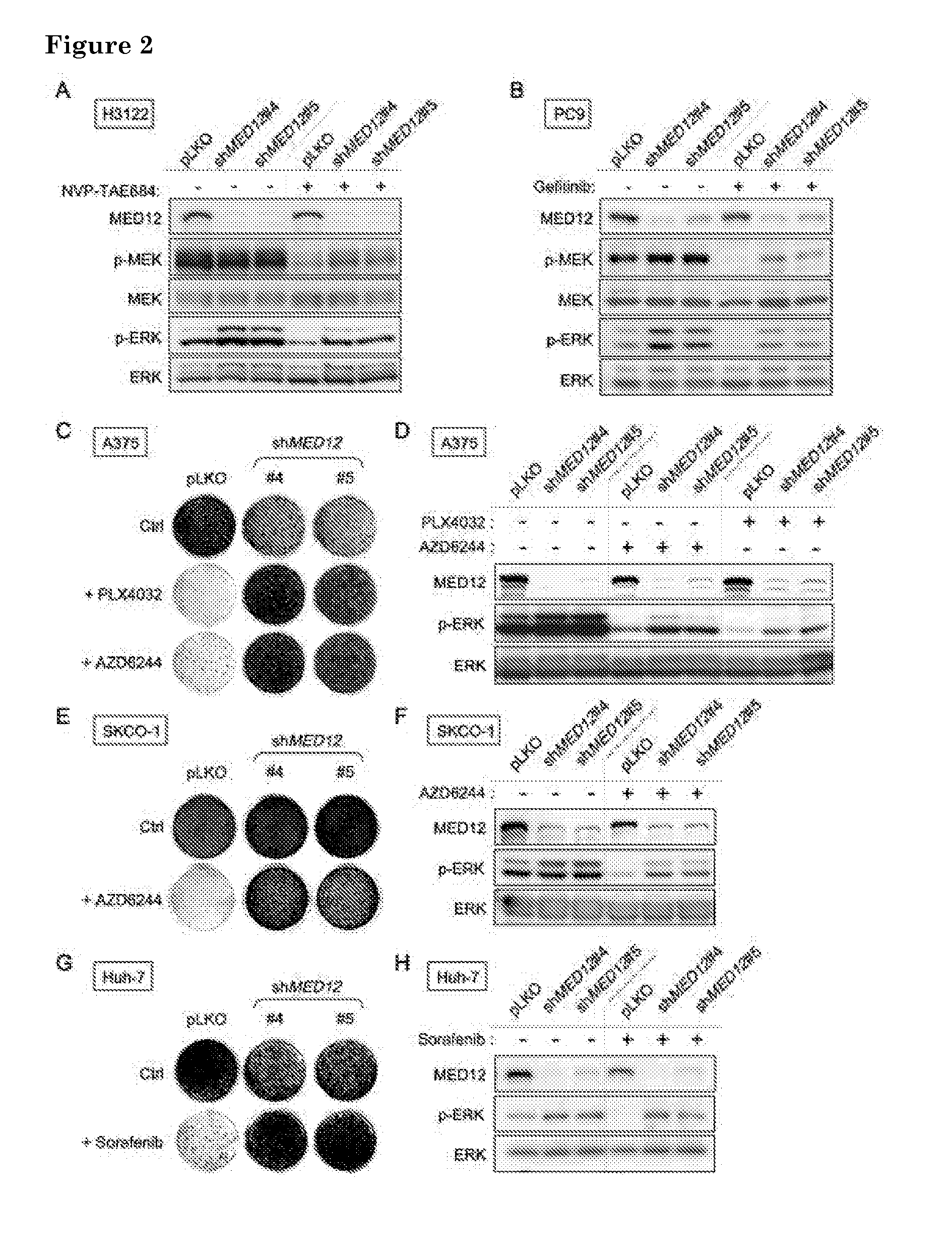 Methods and means for predicting resistance to Anti-cancer treatment