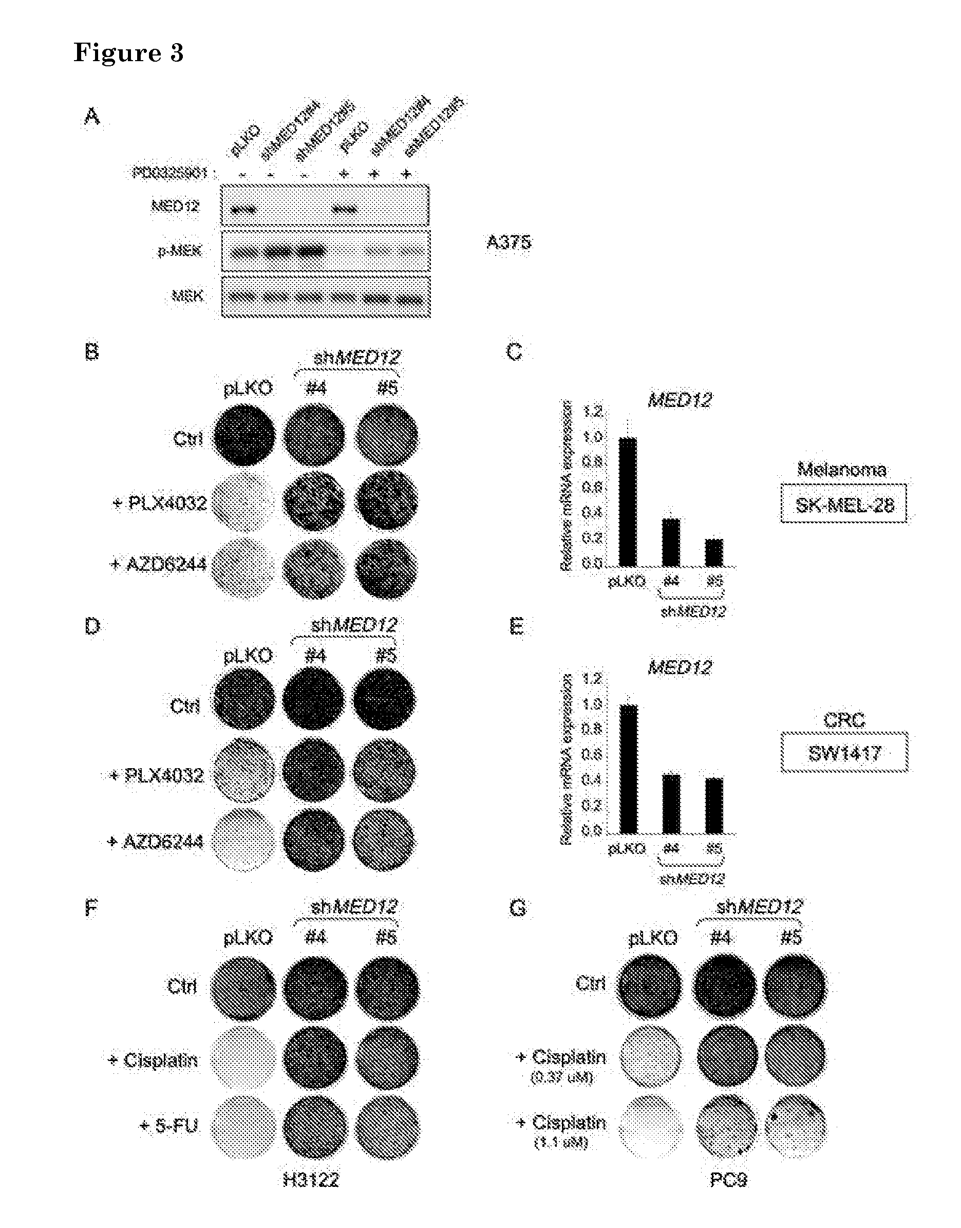 Methods and means for predicting resistance to Anti-cancer treatment