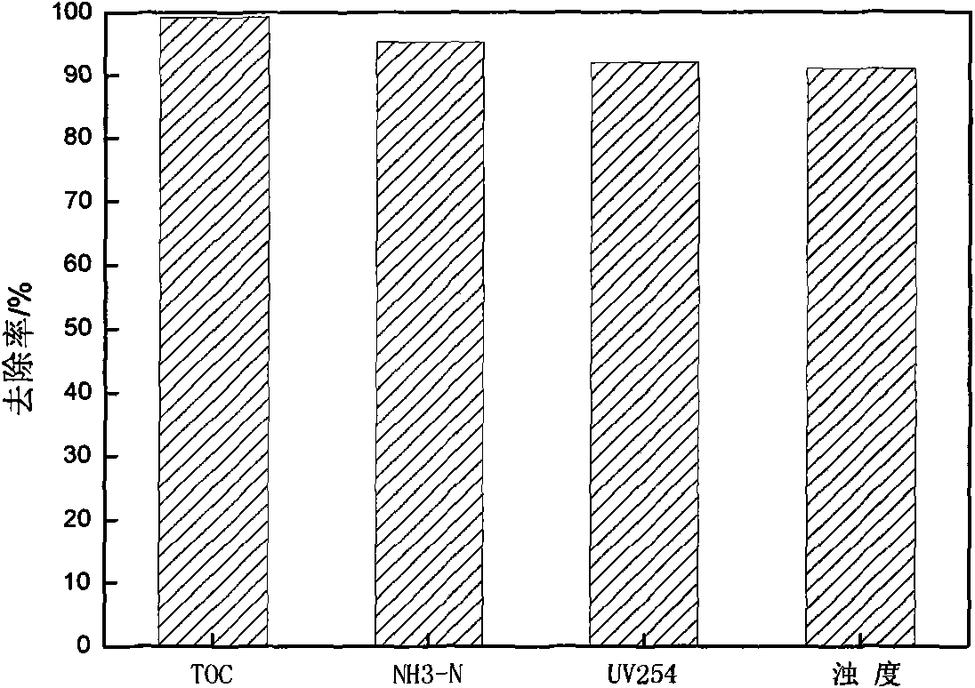 Catalyzed ozonation film reactor with total removal rate of organic carbon over 99%