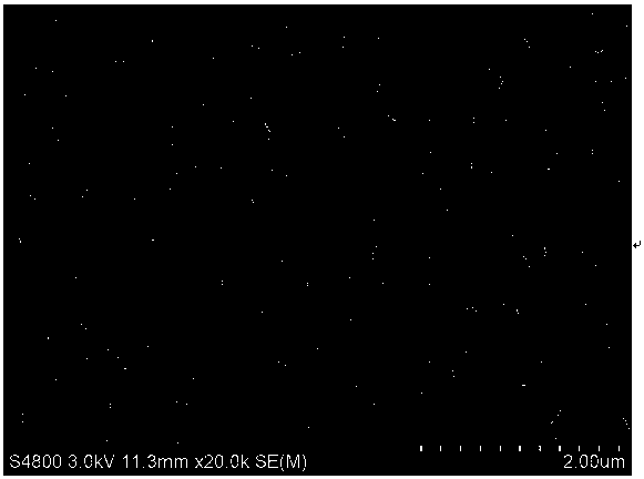 Method for preparing in-situ polymerization amphoteric polyamine nanoparticle modified polyamide nanofiltration membrane