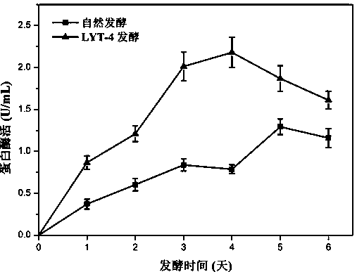 Pseudomonas aeruginosa and screening method and application thereof