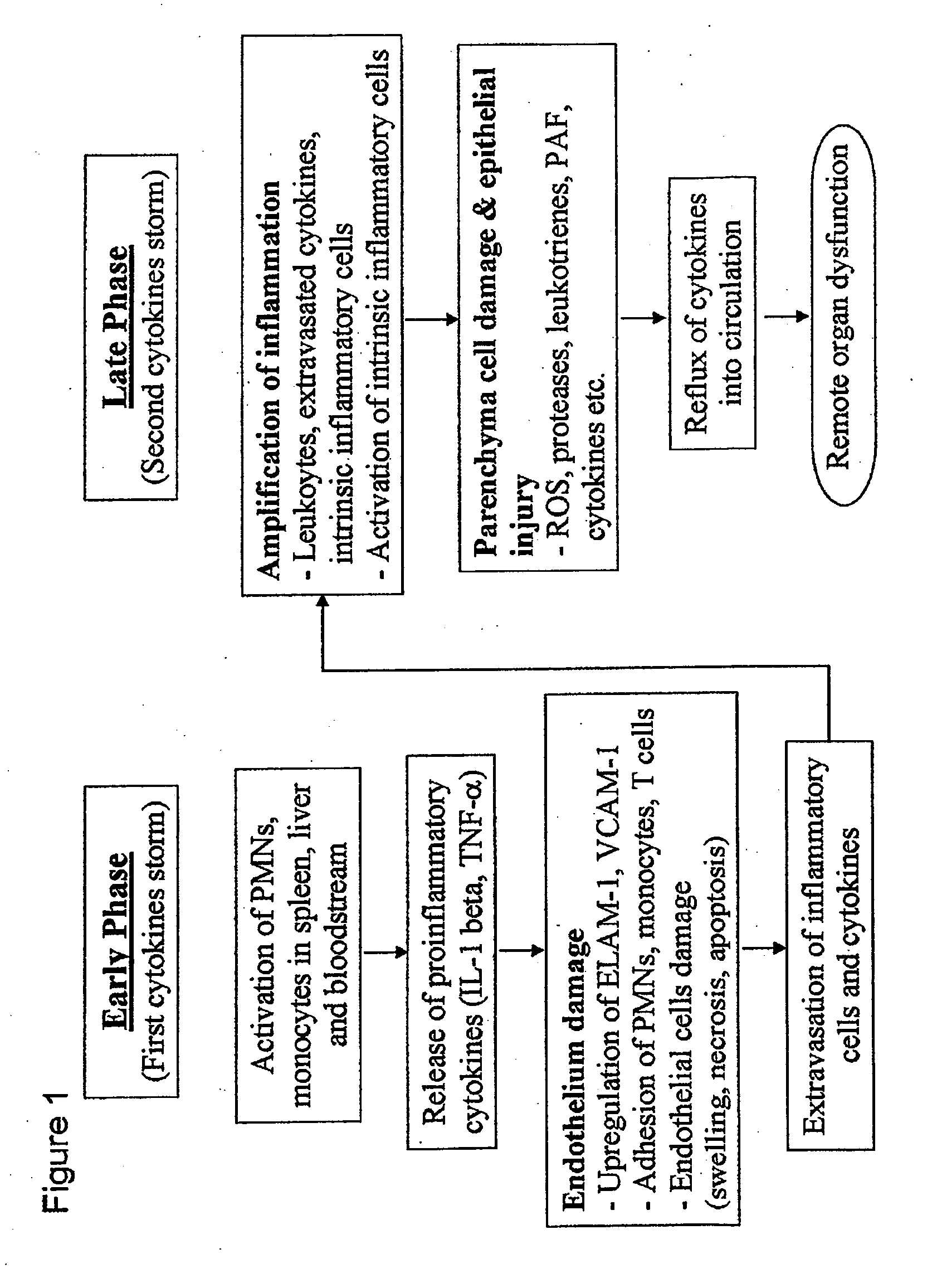 Protective  effect of thymoquinone in spesis