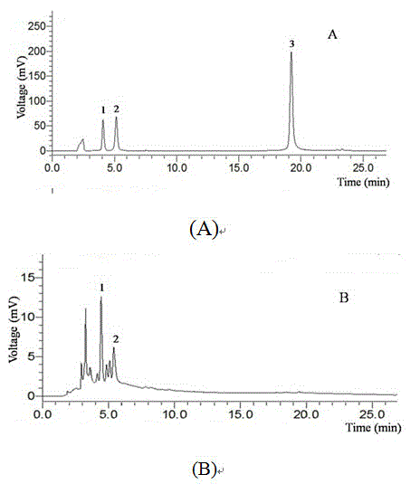 Buckwheat husk flavonoid extractive and applications as DPP4 inhibitor