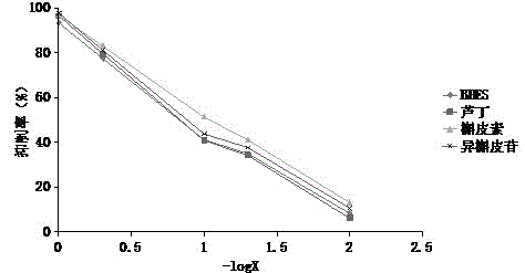 Buckwheat husk flavonoid extractive and applications as DPP4 inhibitor