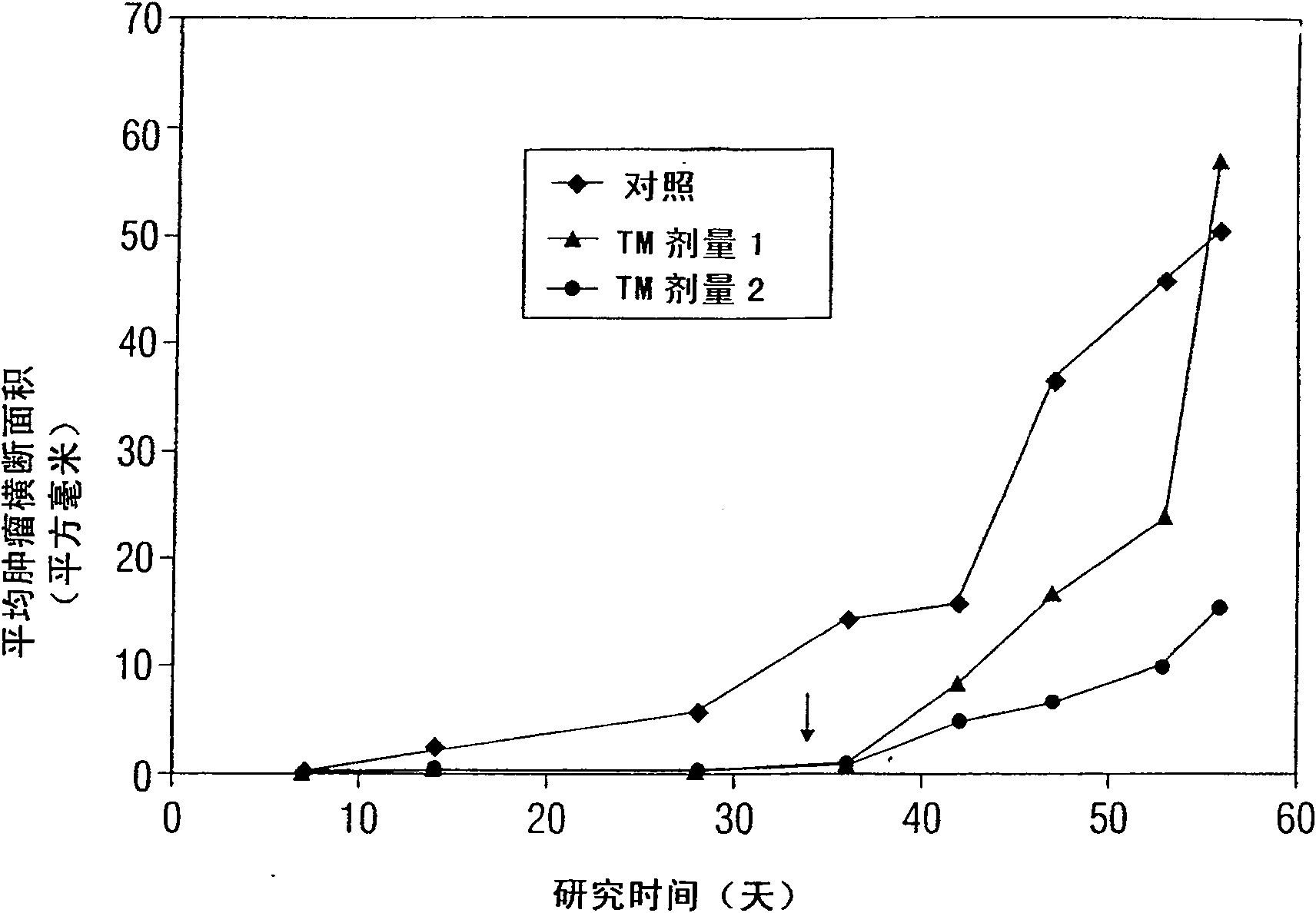 Method and compositions for prevention or treatment of cancer