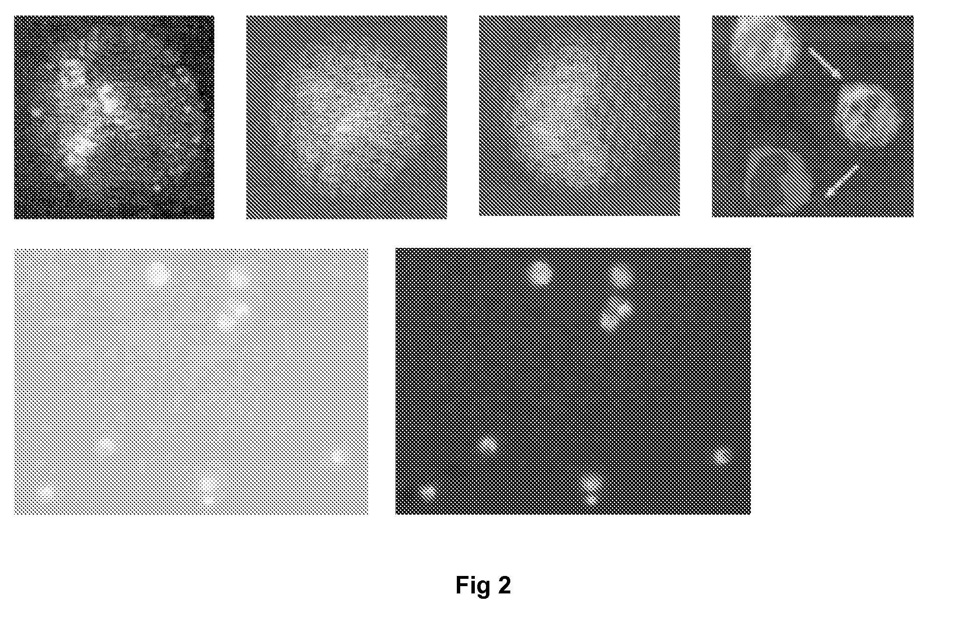 Microfluidic chamber assembly for mastitis assay