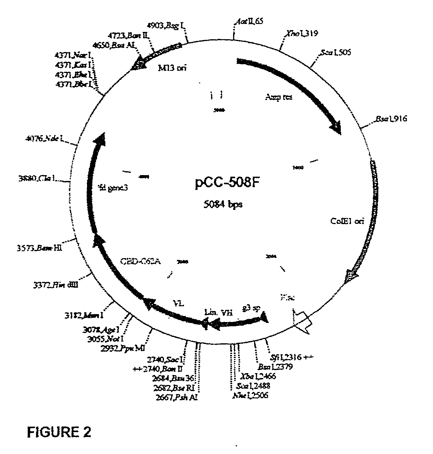 Agents and compositions and methods utilizing same useful in diagnosing and/or treating or preventing plaque forming