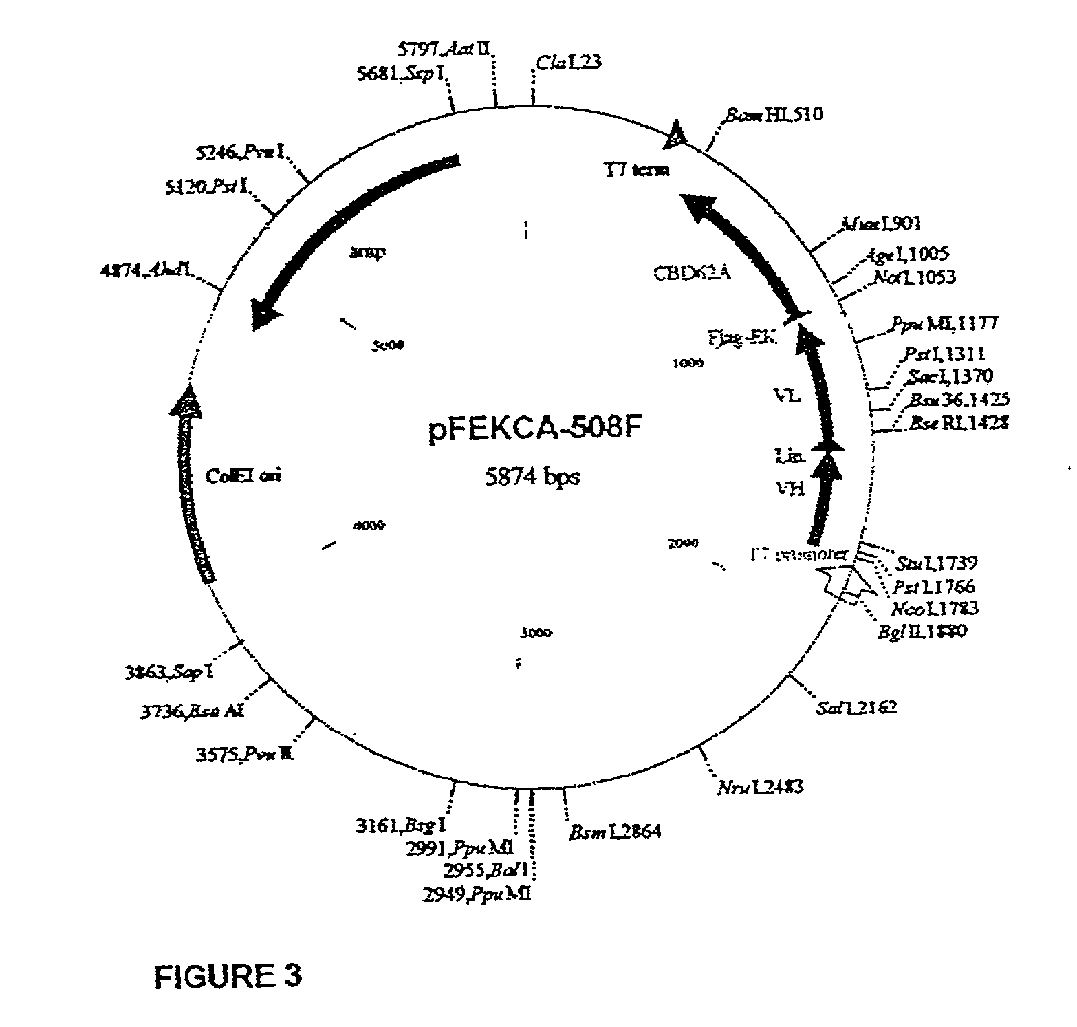 Agents and compositions and methods utilizing same useful in diagnosing and/or treating or preventing plaque forming