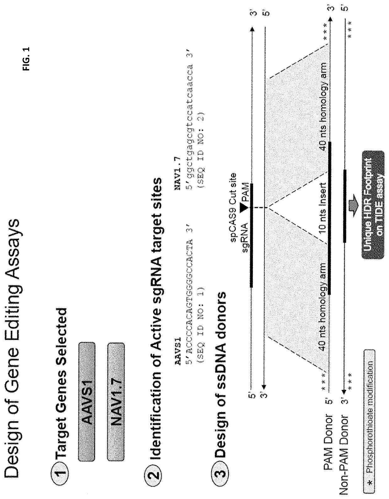 Dna-pk inhibitors