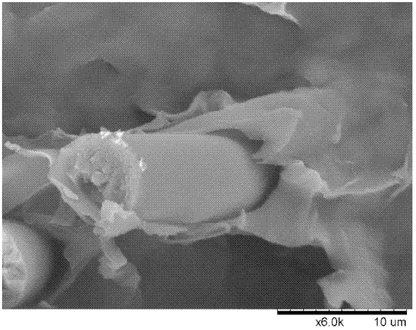 Interface-enhanced carbon fiber/polycaprolactam composite material and preparation method thereof