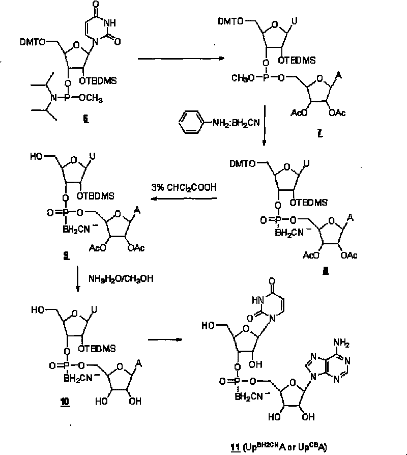 Phosphoric acid diester and preparation method thereof