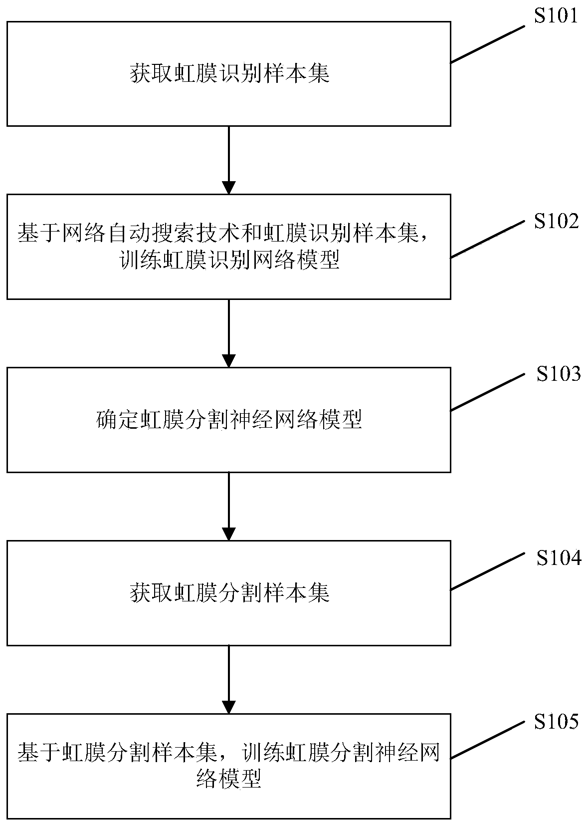 Iris segmentation neural network model training method and iris segmentation method and device