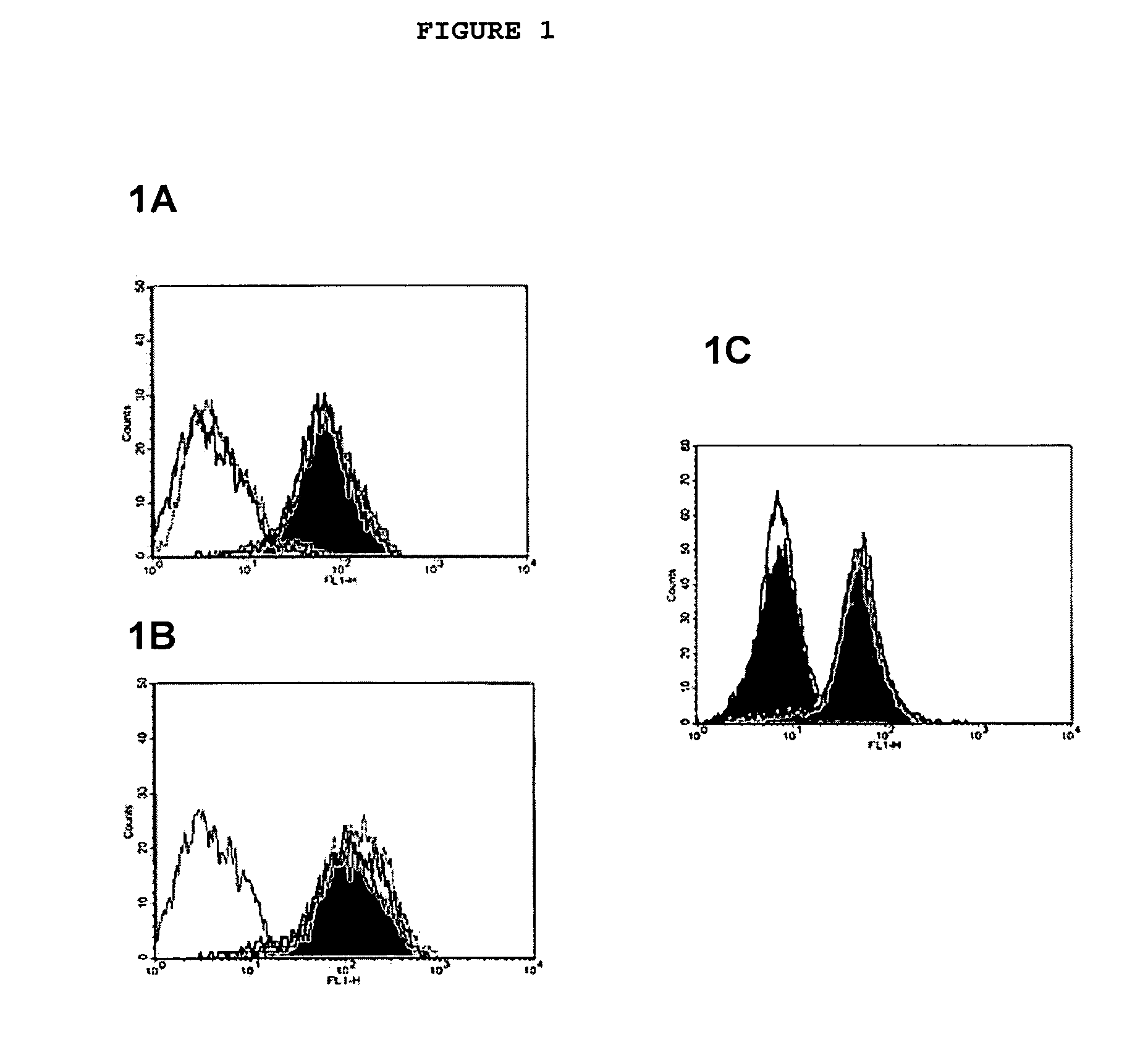 Methods of preparing and using single chain anti-tumor antibodies