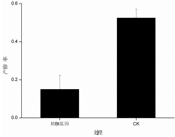 Detection method for evaluating impact of transgenic cotton on dung beetles