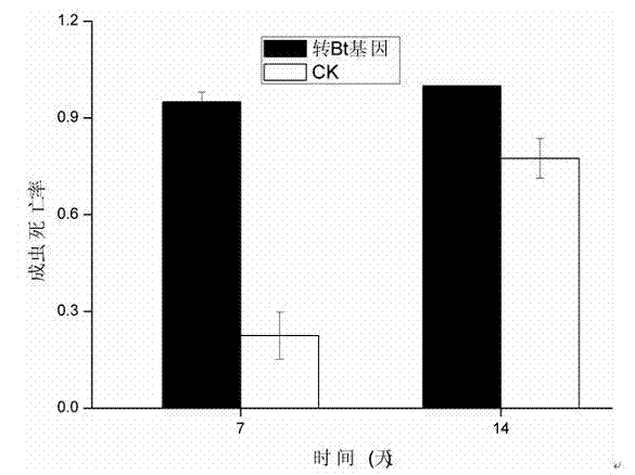 Detection method for evaluating impact of transgenic cotton on dung beetles