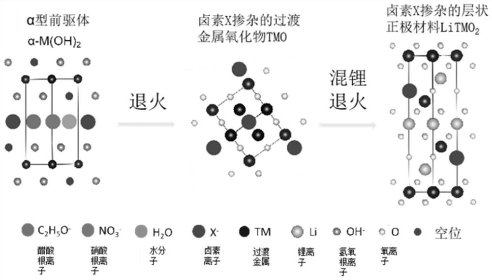 Method for doping anion in positive electrode material of lithium ion battery, positive electrode and battery