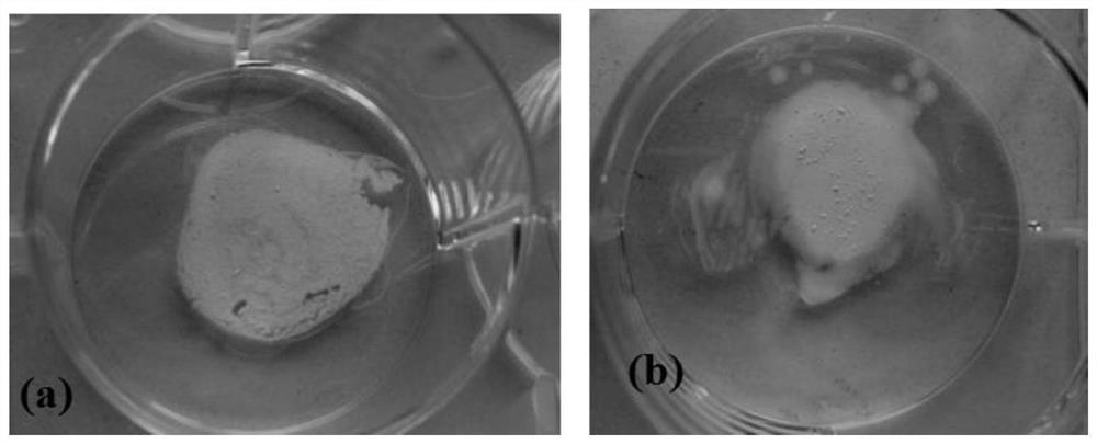 A kind of drug coating liquid for drug coating balloon, drug coating balloon