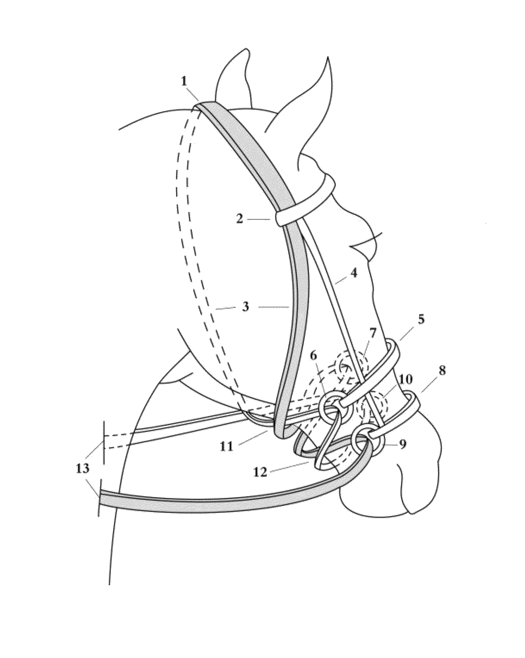 Bitless Bridle with double cross under reinstraps