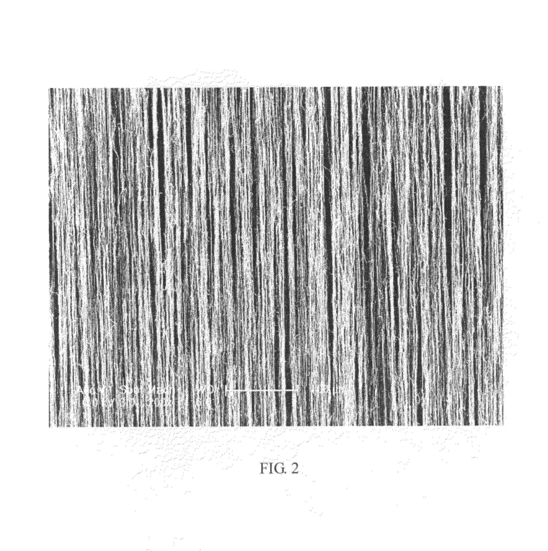 Flexible thermoacoustic device