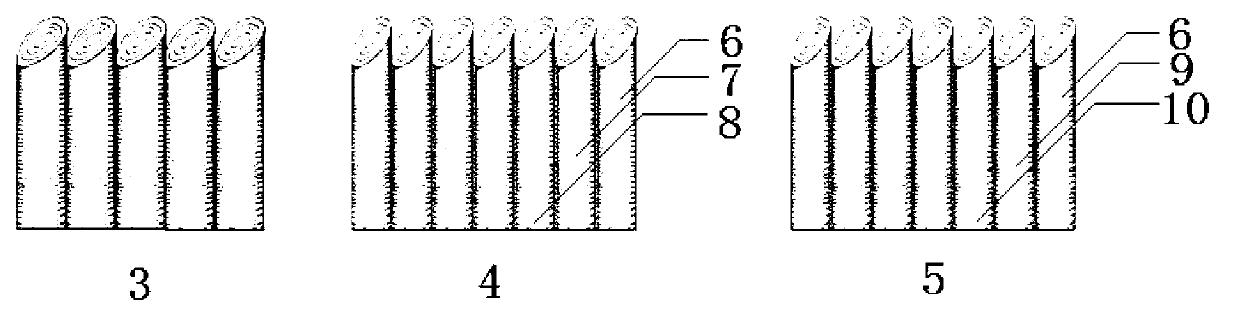 Nurse graft molding method of lythraceae lagerstroemia trunks