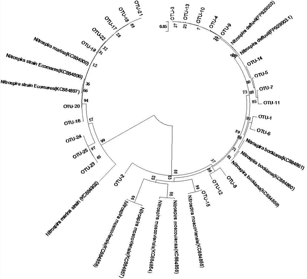 Method for detecting community structures and abundance of nitrite oxidizing bacteria in wastewater