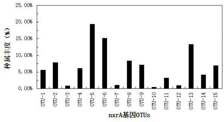 Method for detecting community structures and abundance of nitrite oxidizing bacteria in wastewater