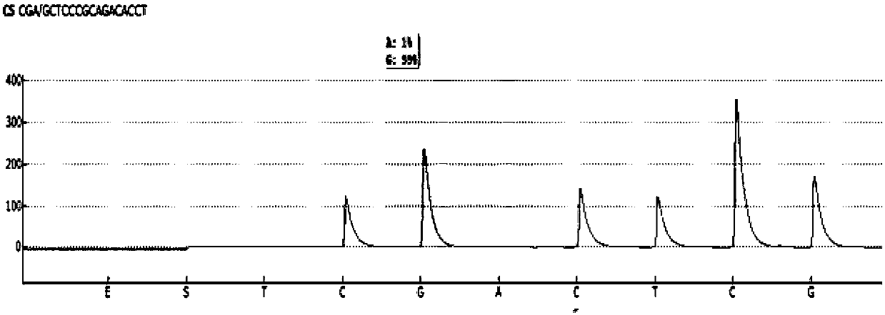 Primer pair and kit for detecting folate metabolism-related gene polymorphism in hypertensive patients