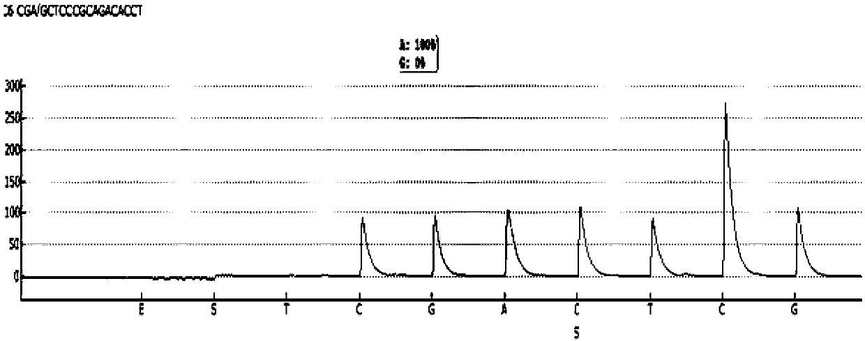 Primer pair and kit for detecting folate metabolism-related gene polymorphism in hypertensive patients