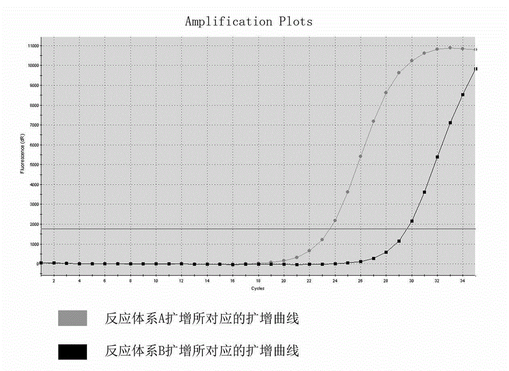 MTHFR gene polymorphism detection primer system and kit thereof