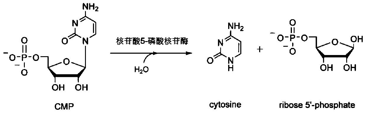 Recombinant microbe for producing cytosine and method for producing cytosine