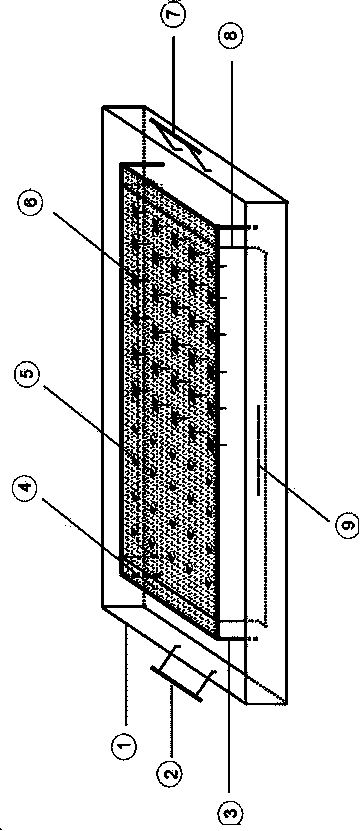 Water-induction strong-root plant seedling culture device