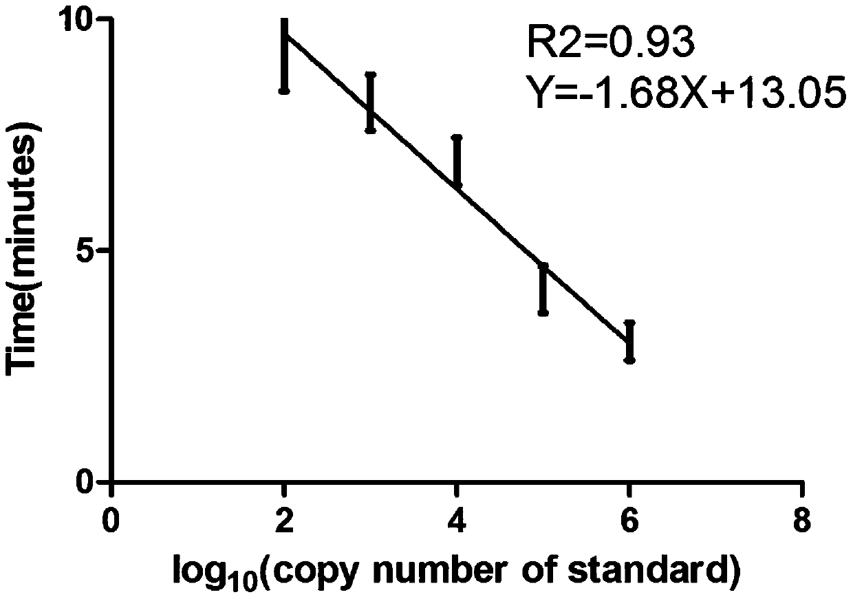 A kind of rt-rpa detection kit for rapid detection of Peste des petits ruminants virus and its application