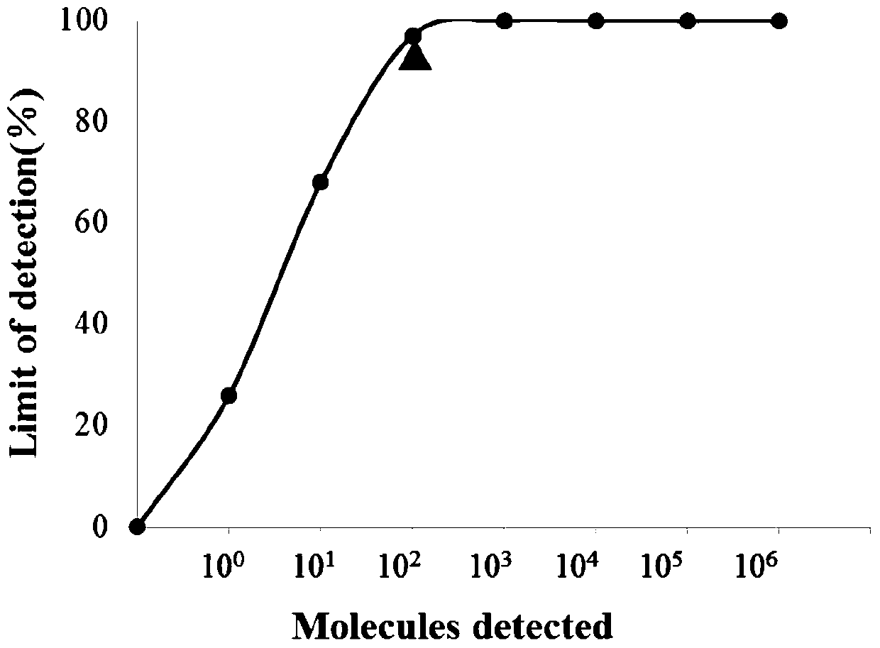 A kind of rt-rpa detection kit for rapid detection of Peste des petits ruminants virus and its application