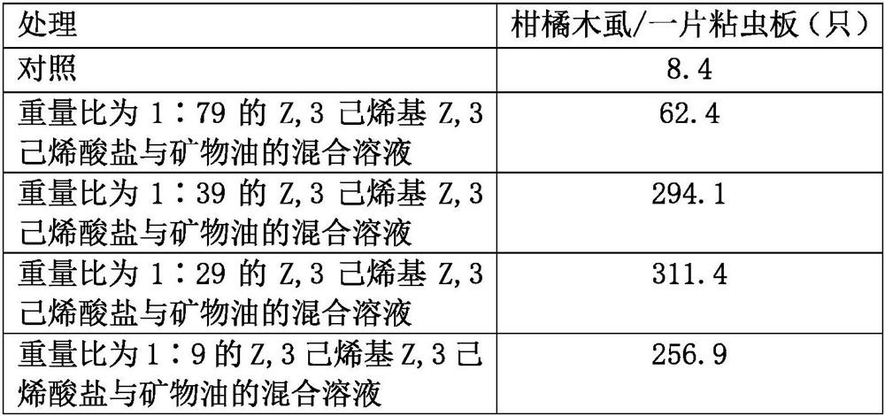 Attractant for diaphorina citri as well as controlled release system and application of attractant