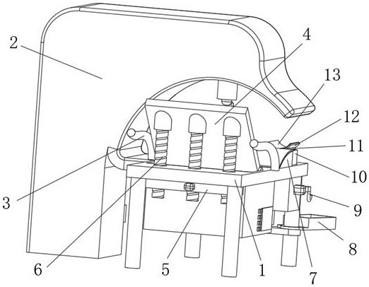 Gynecological clinical phototherapy device