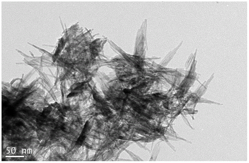 Preparation method of shape-controllable nano CuO (copper oxide) powder