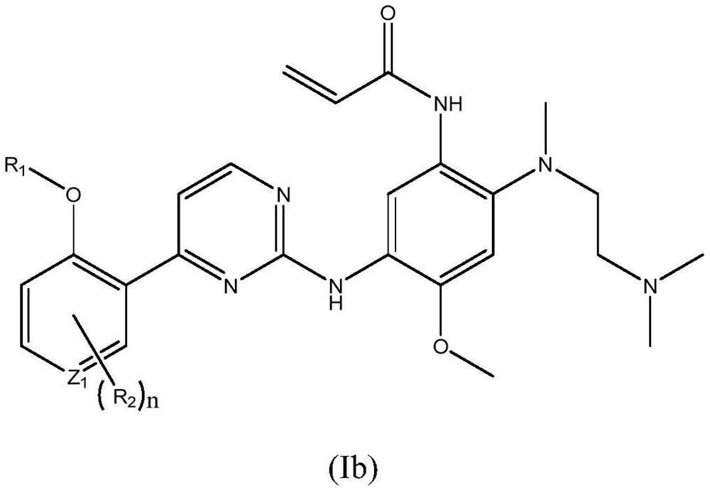 EGFR tyrosine kinase inhibitor and application thereof