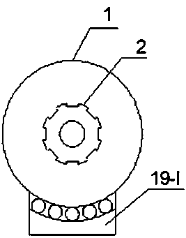 Organic waste low-temperature in-situ degradation reaction device and application