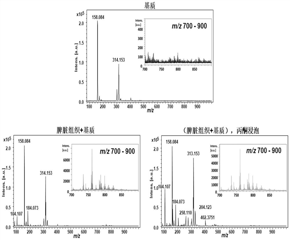 A Mass Spectrometry Imaging Method for Simultaneous Analysis of Multiple Amine Metabolites in Biological Tissues