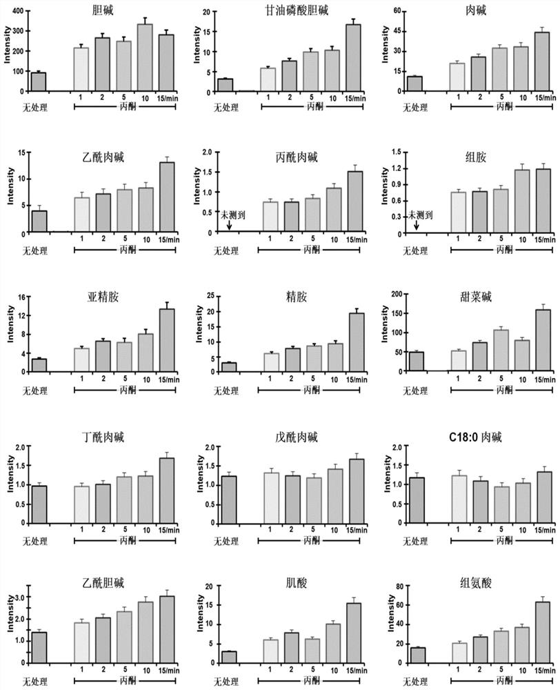 A Mass Spectrometry Imaging Method for Simultaneous Analysis of Multiple Amine Metabolites in Biological Tissues