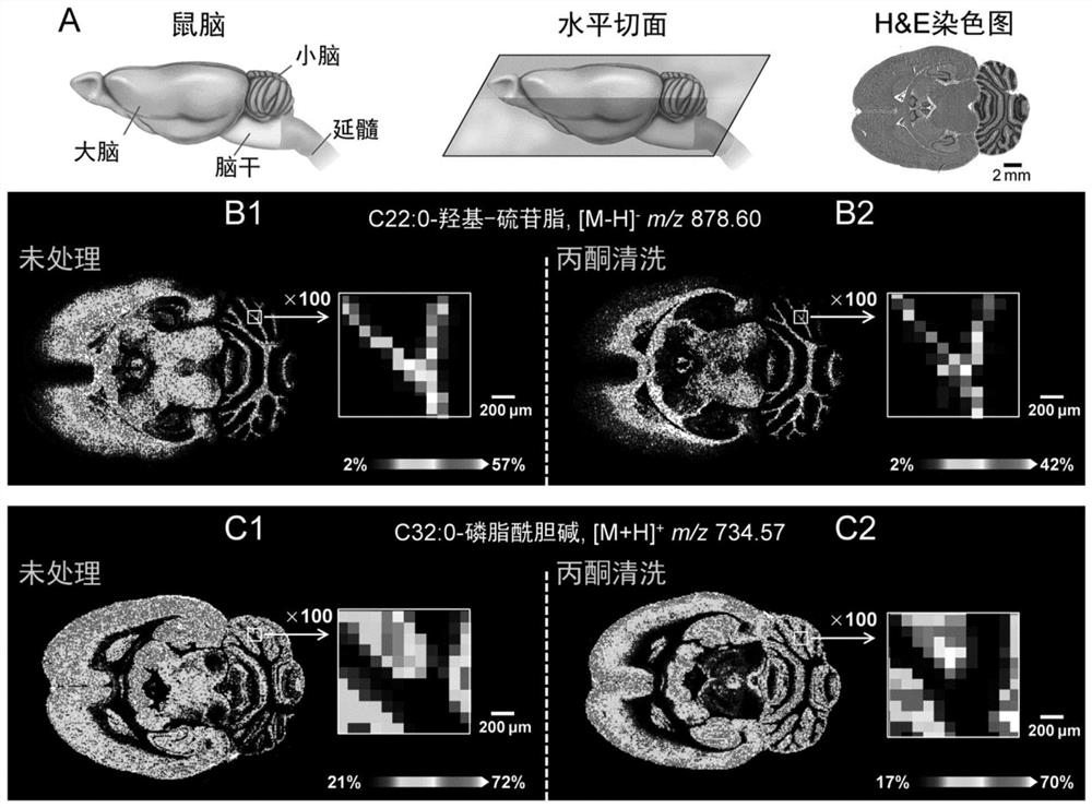 A Mass Spectrometry Imaging Method for Simultaneous Analysis of Multiple Amine Metabolites in Biological Tissues