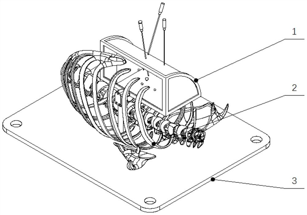 Lung puncture simulation platform