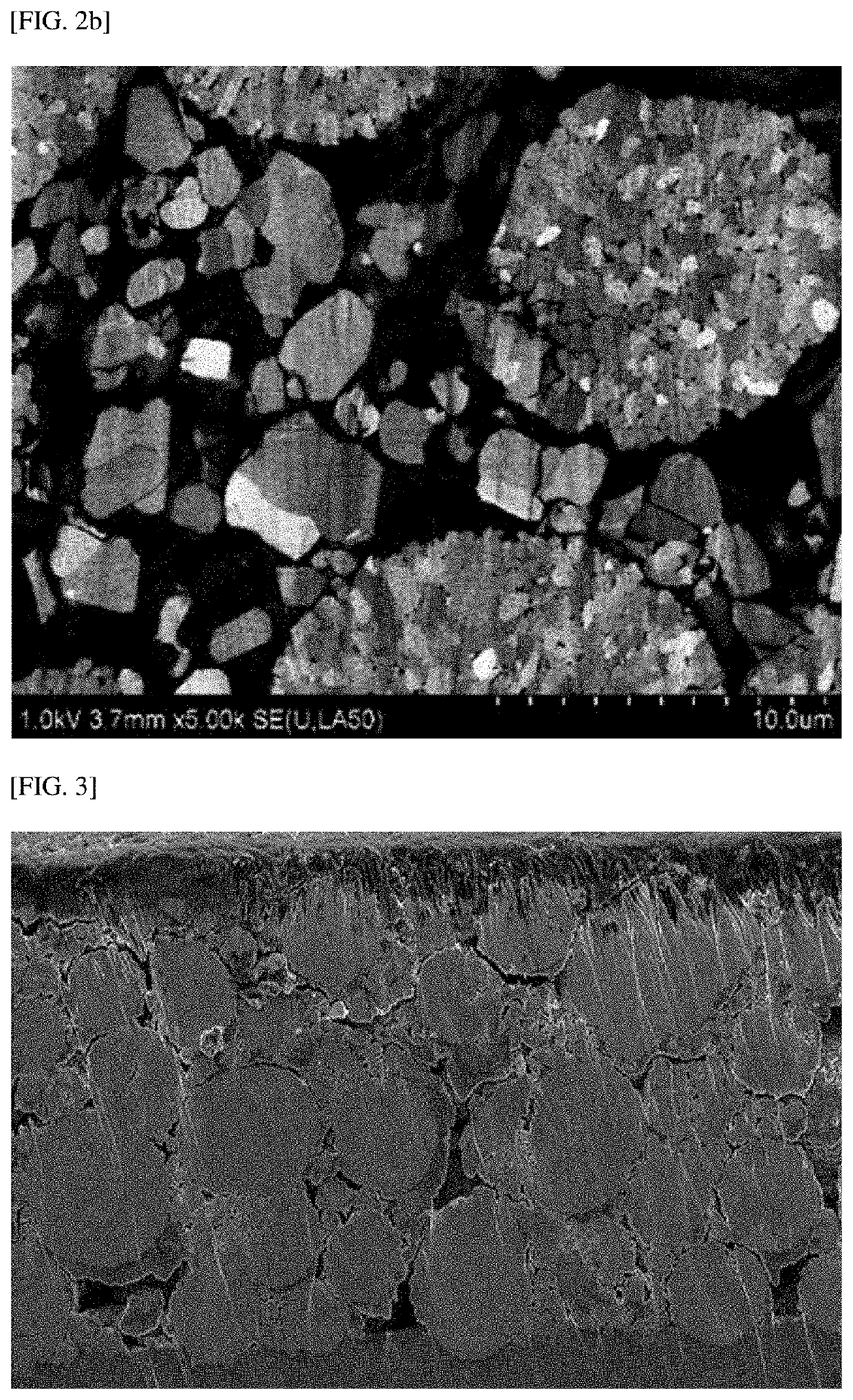 Positive Electrode for Lithium Secondary Battery and Lithium Secondary Battery Including the Same