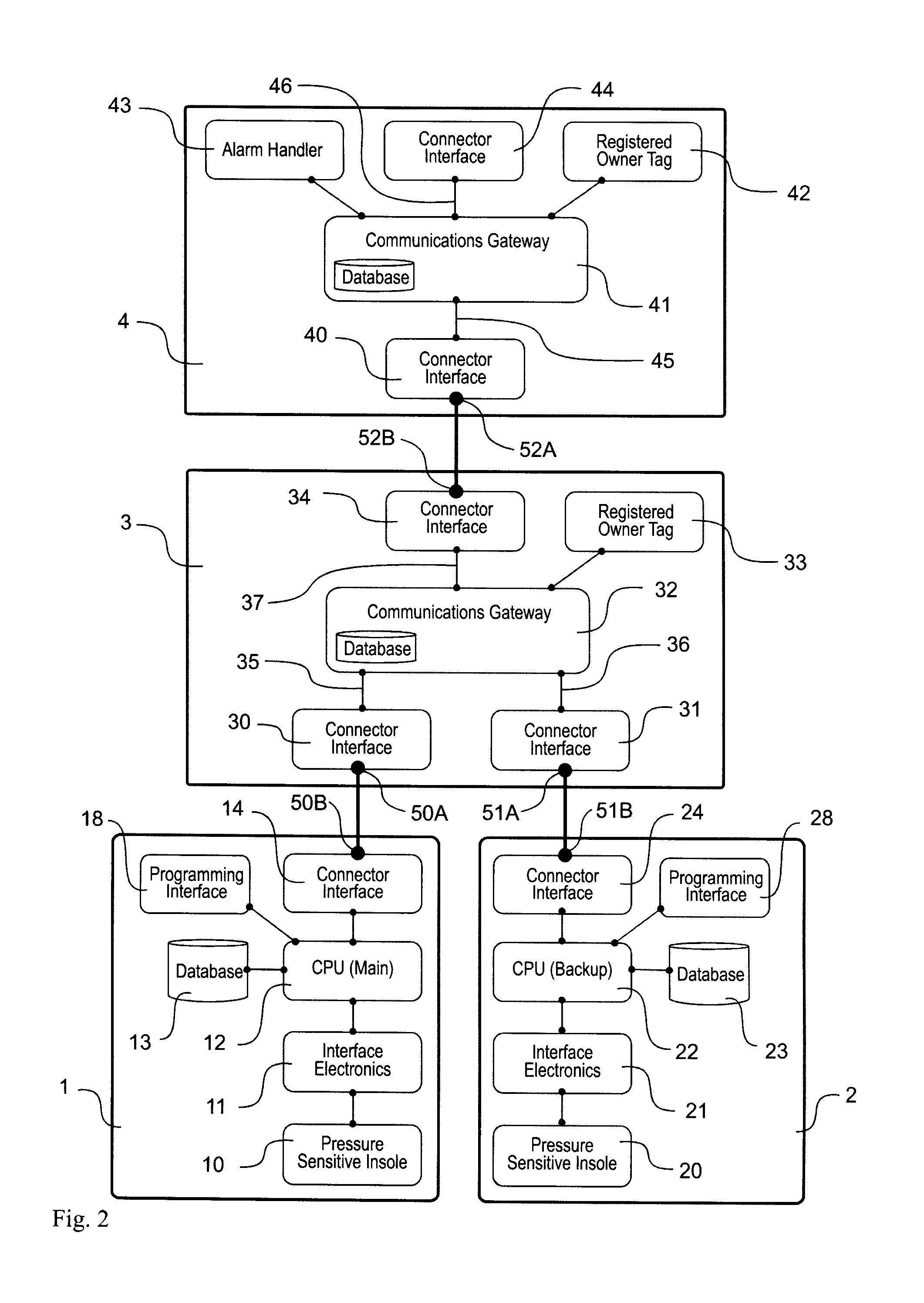 Pedobarographic biometric system