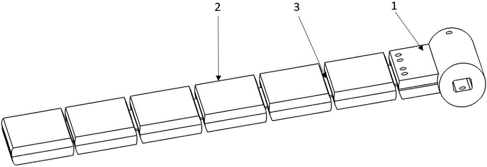 Bidirectional-spaced flexible fin-leg promoting device