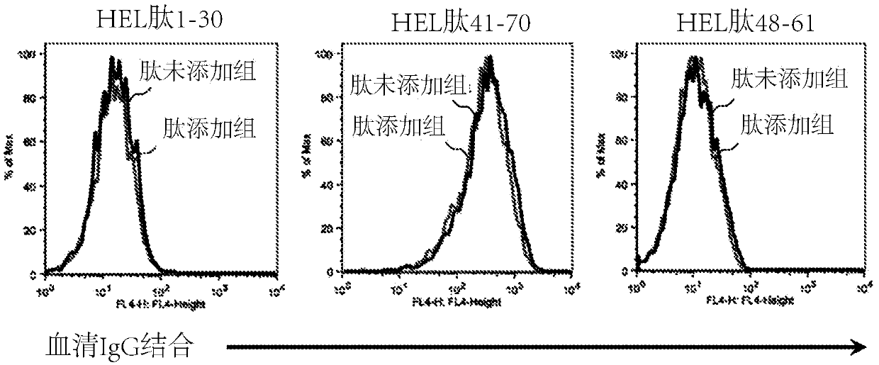 Immunizing peptide, method for producing immunizing peptide, pharmaceutical composition for immune disorders containing same, and method for treating immune disorders