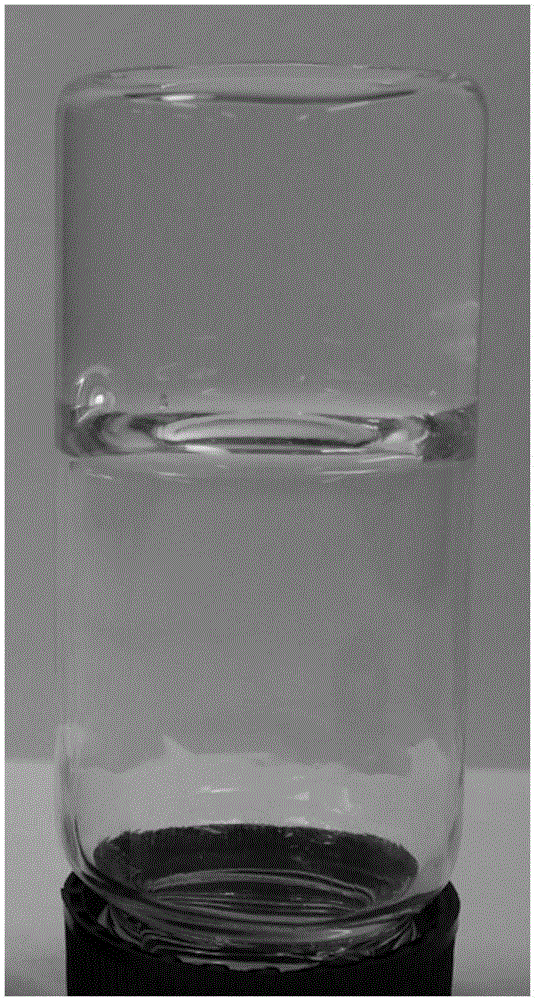 Gel dressing based on G-quadruplex/collagen, as well as preparation and application of gel dressing