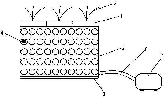 Method and device for efficiently treating black and odorous river through rapid biofilm formation of filler